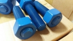 XYLAN1070(BLUE)-STUD BOLT / HEAVY HEX NUT / HEX BOLT / SPRING WASHER